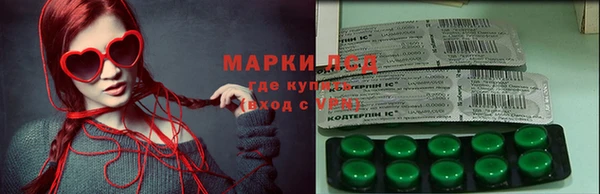 прущие грибы Алексин