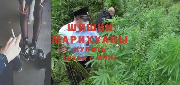 прущие грибы Алзамай