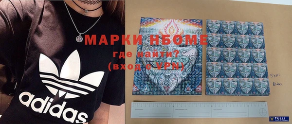прущие грибы Алзамай