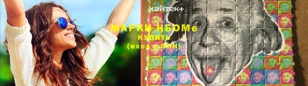 прущие грибы Алзамай